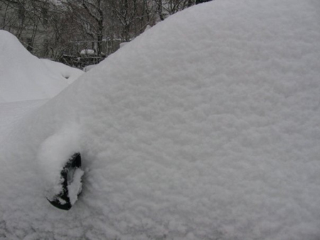 My Subaru, even when covered in snow, remains unconcerned about the weather.)€”Sarah Amend photo