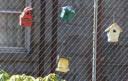 Just a few of a bunch of colorful birdhouses, attached to a fence, set far back from the road.