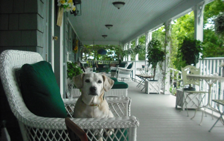 Sadie likes the inn... probably because it's 100 times bigger than our apartment.