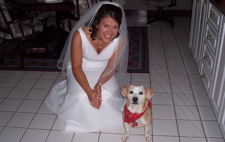 Wedding always impart some kind of lessons. In the case of my sister's wedding, small cute dogs like parking their butts on the cushy trains of white wedding gowns. Don't let them!