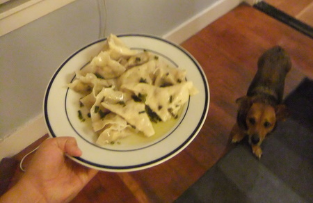 My dog is scared of anything: her grooming brush, cameras, and we can now add tasty ravioli to the list.