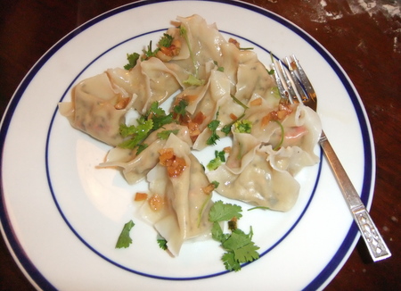 The final product with sauce number two (garlic/ginger oil-based) with cilantro. Yum.