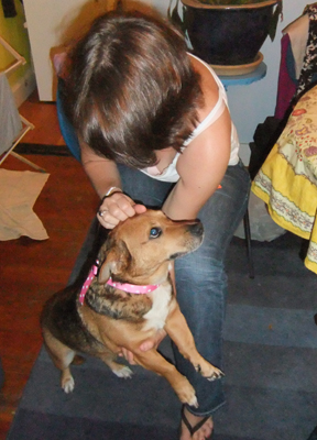 Gidget gets a ribbon collar from Jen. Note: Stapling is like sewing, only quicker. Gidget gets a ribbon collar from Jen. Note: Stapling is like sewing, only quicker.