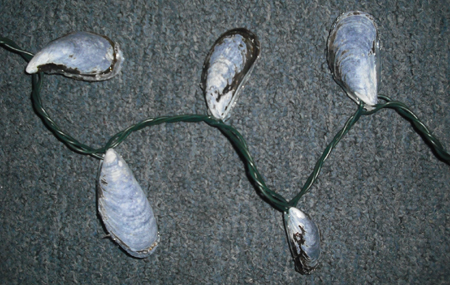 Seashell lights do look pretty but pick a less opaque color if you want the light to actually shine through (beyond the light seeping through the cracks). 