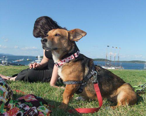 Gidget and our friends often sit in this park by the ocean, a whopping 5 minute walk from my house.