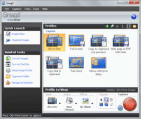300px-SnagIt_screenshot