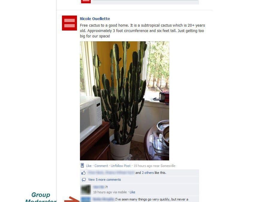 Whether unloading a cactus or buying a trailer, Facebook groups and other online spaces let you get in front of people who can join in your transaction.