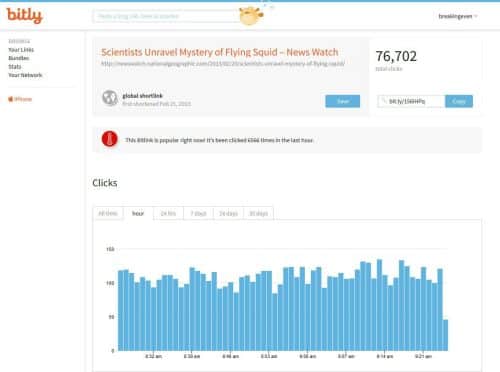 bitlydataonlink
