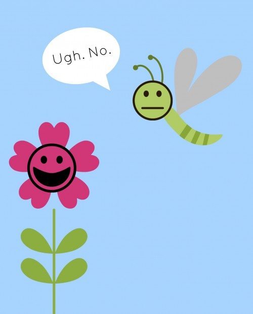 Windshield_vs_Bug