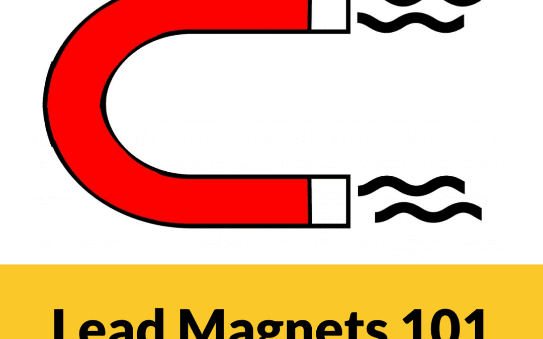 Ask Nicole Series: Lead Magnets