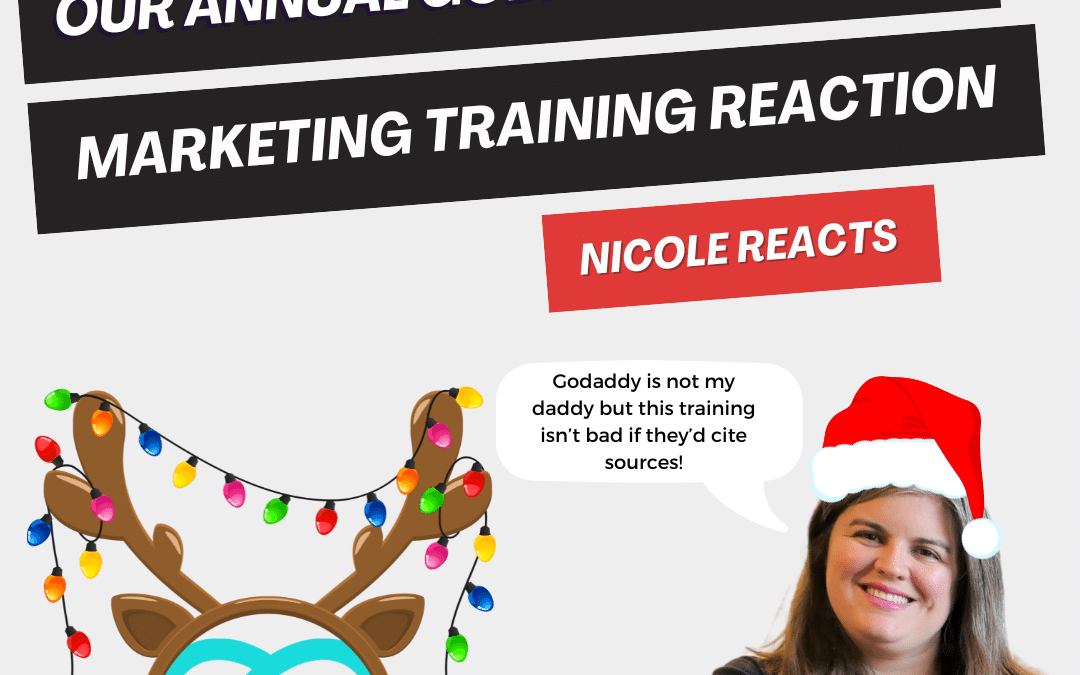 Nicole Reacts: GoDaddy Gives A Good But General Holiday Marketing Training